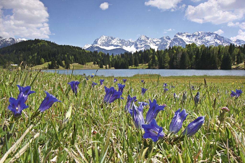 Beim Gschdoaga Lägenhet Mittenwald Exteriör bild